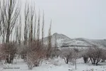 روستاهای سفیدپوش «قهستان»