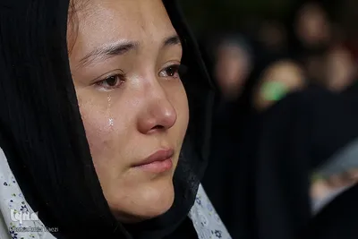 مراسم لاله گردانی در شیراز‎‎