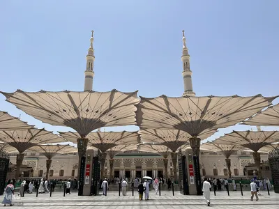 حال و هوای مسجدالنبی در ایام حج