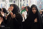 همایش شیرحوارگان در کرج
