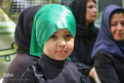 طعم نذری‎