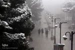 برف، رحمت الهی در سمنان