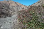 طبیعت زیبای پاییزی رشته کوه‌های جنوبی اهر
