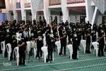 احلی من العصل ‎‎