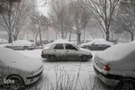 بارش سنگین برف در تبریز‎
