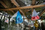 کوچ عشایر در فارس‎