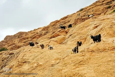 پیوند انسان و طبیعت در اندیکا