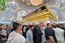احیا در حرم امام علی‎‎