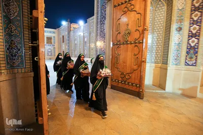 سیب بهشتی‎‎