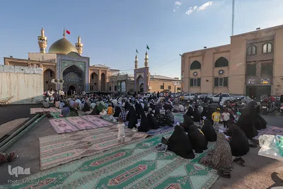 قرائت دعای عرفه در زنجان