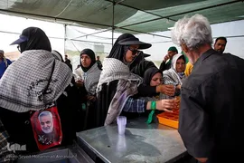 زائران پیاده امام رضا(ع)
