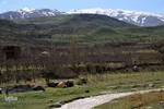 گشت و گذار کرونایی در مناطق گردشگری اهر
