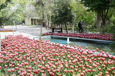 گلستان تبریز