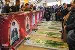 «میهمانی لاله‌ها» در حرم شاهچراغ (ع)‎‎