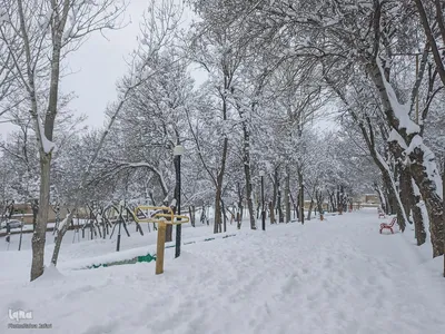 تداوم بارش برف و برودت هوا در شهرستان اهر