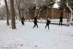 بارش برف در اهر