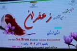 عکس | جشنواره و آیین شکرگزاری زعفران لرستان