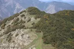 بقعه امامزاده پیرداوود‎