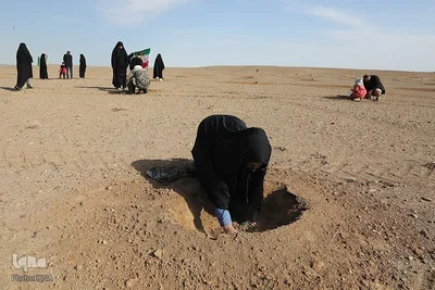 غرس نهال در روز طبیعت