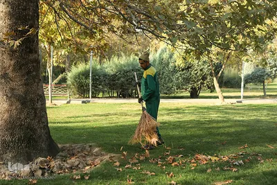 پاییز تهران