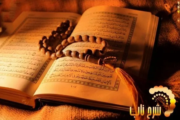 بررسی موضوع «صداقت از مراحل سلوک قرآنی» در برنامه شرح ناب