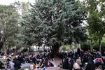 مراسم دعای عرفه در همدان‎