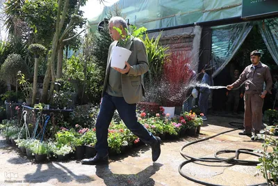بازار گل شیراز‎‎ در آستانه سال نو