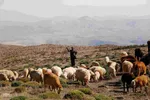 جاذبه‌های گردشگری اهر؛ دروازه بهشت ارسباران