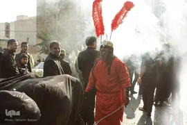 راهپیمایی نمادین قافله اسرای کربلا
