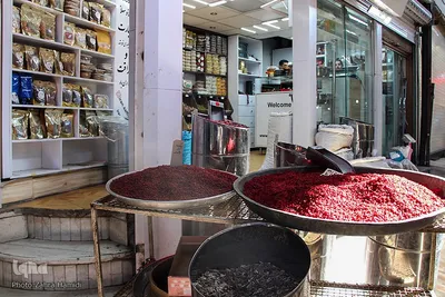 تکاپوی یلدایی شهر