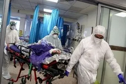 বিশ্বে করোনায় মৃত্যু ৪০ লাখ ৯৮ হাজার ছাড়াল