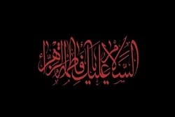 Xanım Zəhranın (s.ə.) məqamı məsumların kəlamlarında