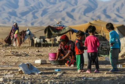 زنان عشایر زندگی را به سختی پیش میبرند