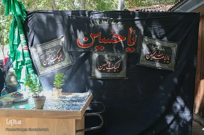 طعم نذری‎