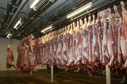 France : les deux abattoirs du groupe Intermarché ne pratiquent plus l’abattage halal