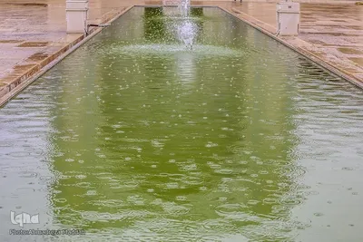 باران بهاری در مسجد تاریخی وکیل شیراز‎‎