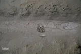 آب نذر کنیم
