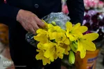 گلسرای رضوی
