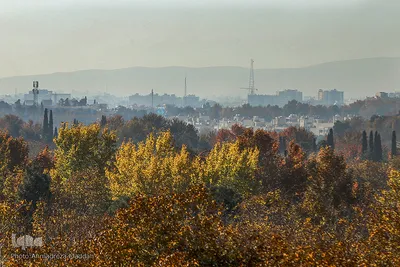 پاییز در باغ‌های بلوار شهید چمران شیراز‎‎