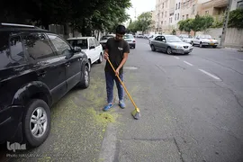 سفره افطاری هیئت حضرت ابوالفضل(ع) بلوار ابوذر تهران