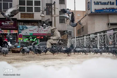 چهارراه کبوترها‎‎