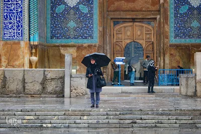 نصف جهان بارانی
