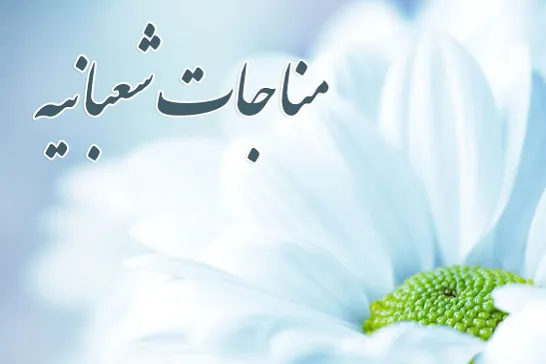 مناجات شعبانیه و تعبیری لطیف برای توبه