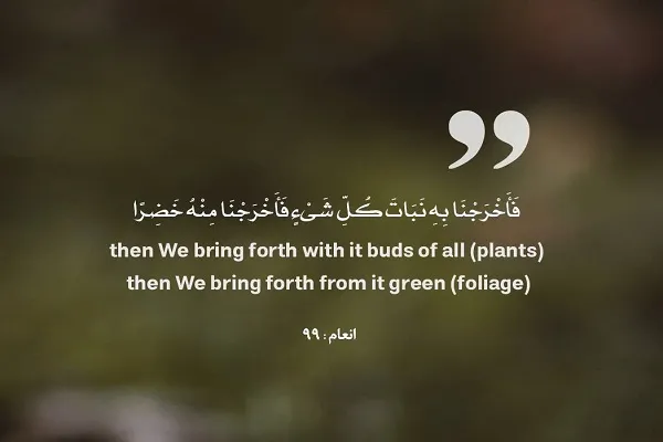 الماء هو سر الحياة ومنبعها