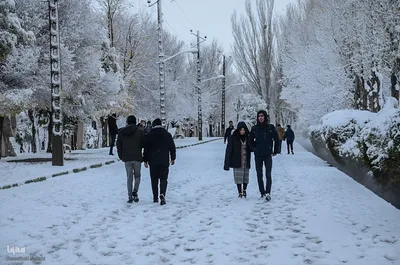بارش اولین برف پاییزی در تبریز‎