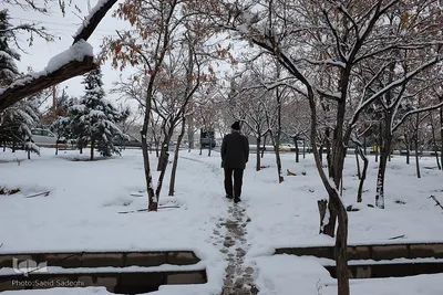 تبریز سفید پوش شد