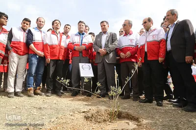 کاشت نهال صلح در بوستان پردیسان