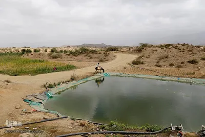 فاجعه انسانی در یمن