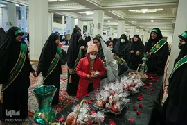 سیب بهشتی‎‎