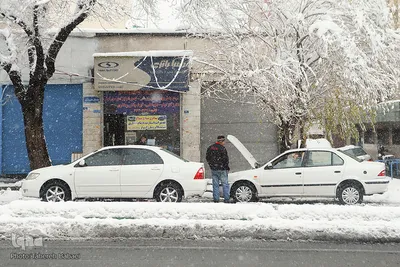 تهران روسفید شد